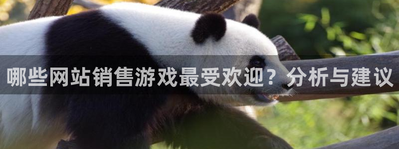 手机版天美娱乐客户端下载：哪些网站销售游戏最受欢迎？分析与建