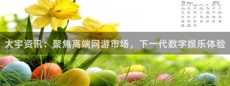 天美娱乐平台注册：大宇资讯：聚焦高端网游市场，下一代数字娱乐