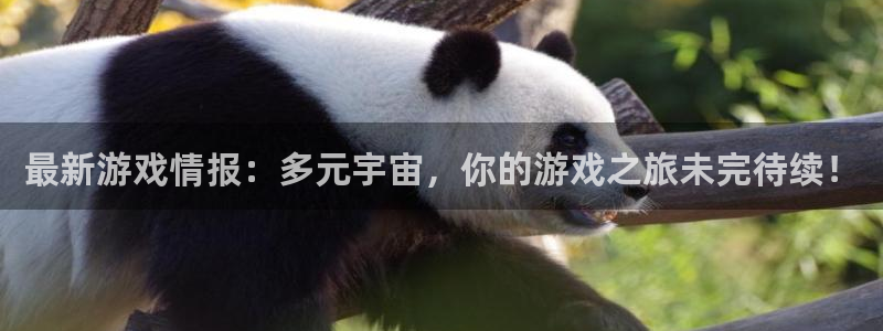 天美娱乐网址注册：最新游戏情报：多元宇宙，你的游戏之旅未完待