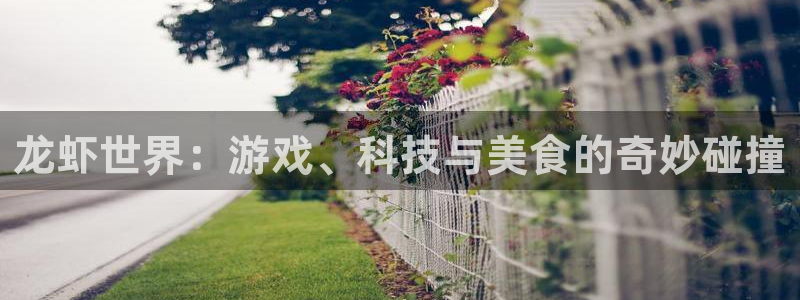 天美娱乐代理登陆：龙虾世界：游戏、科技与美食的奇妙碰撞