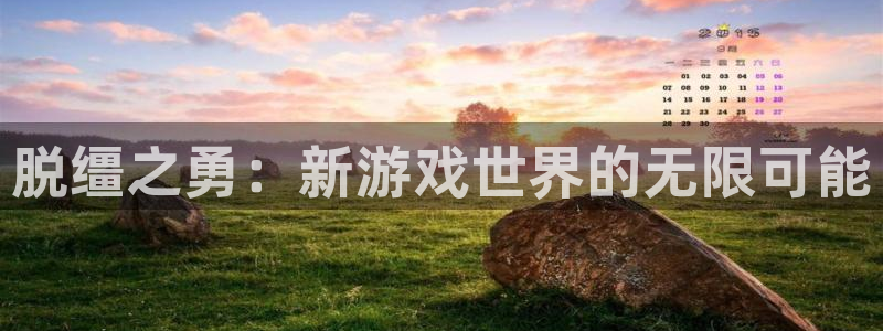 天美娱乐2首页登录：脱缰之勇：新游戏世界的无限可能