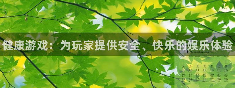 天美娱乐注册服务条款：健康游戏：为玩家提供安全、快乐的娱乐体