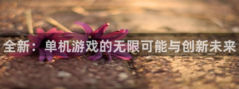 天美娱乐平台注册：全新：单机游戏的无限可能与创新未来