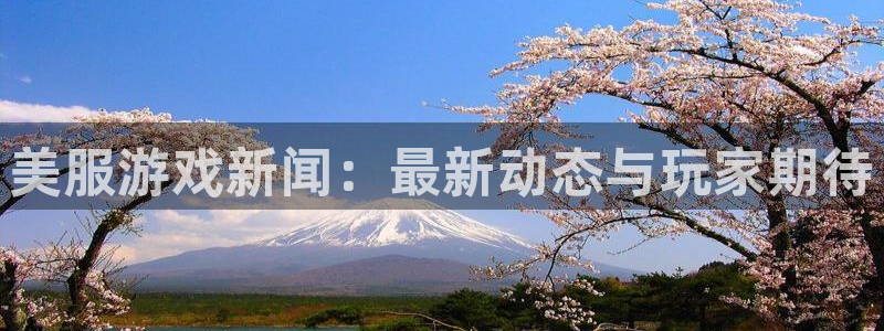 天美娱乐开户测速：美服游戏新闻：最新动态与玩家期待