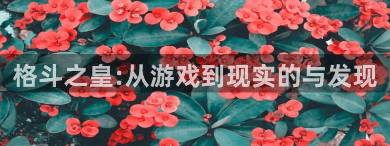 天美娱乐官方注册登录：格斗之皇:从游戏到现实的与发现