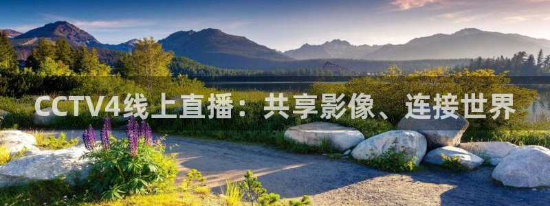 857直播nba：CCTV4线上直播：共享影像、连接世界