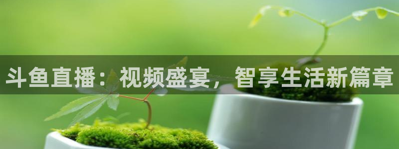857体育直播解说：斗鱼直播：视频盛宴，智享生活新篇章