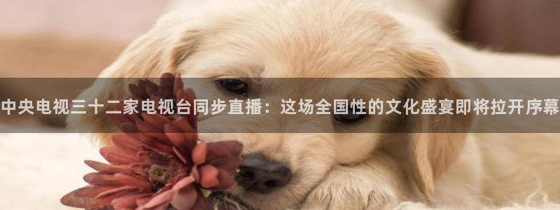 857直播体育足球：中央电视三十二家电视台同步直播：这场全国性的文化盛宴即将拉开序幕