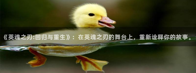 857篮球体育直播：《英魂之刃:回归与重生》：在英魂之刃的舞台上，重新诠释你的故事。