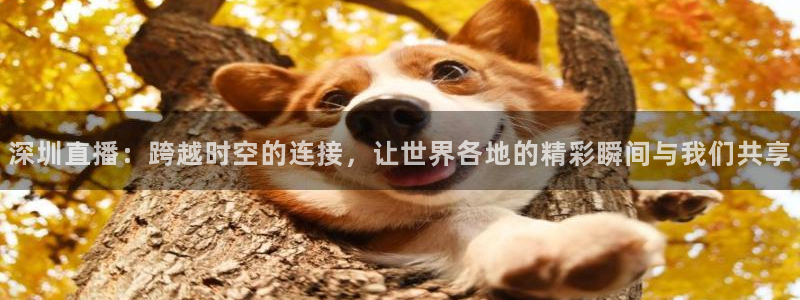 857看球直播nba直播：深圳直播：跨越时空的连接，让世界各地的精彩瞬间与我们共享