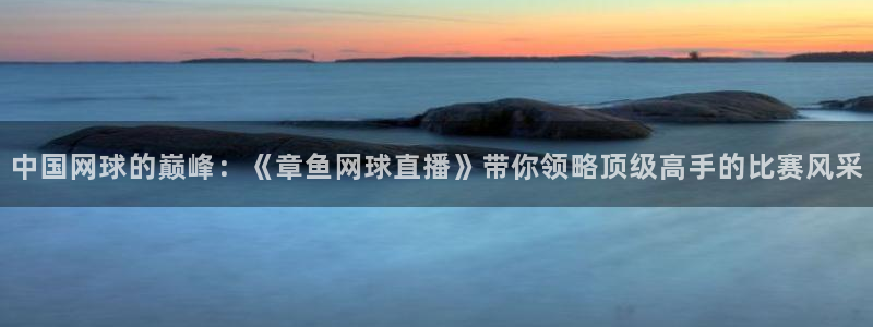 857直播体育nba直播：中国网球的巅峰：《章鱼网球直播》带你领略顶级高手的比赛风采